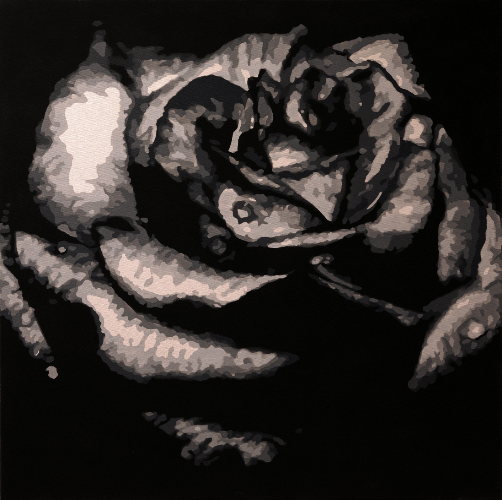 black rose
